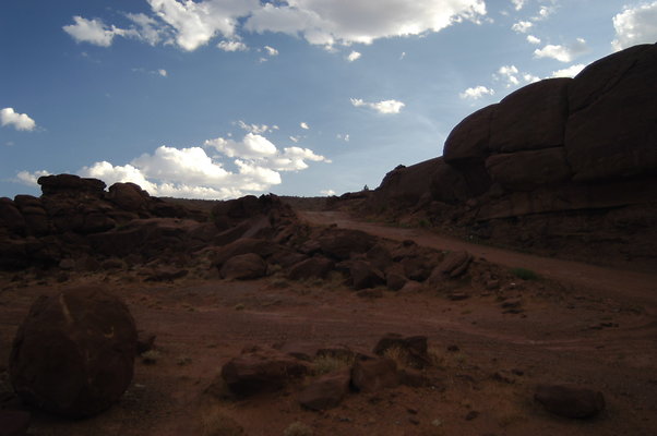 Fossil Point (5)