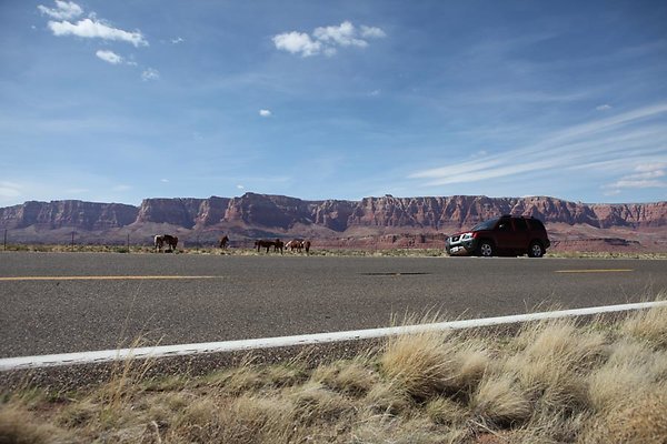 IMG 7086