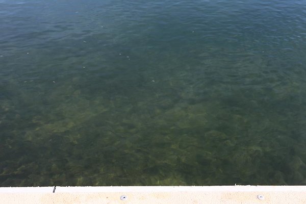 IMG 7858