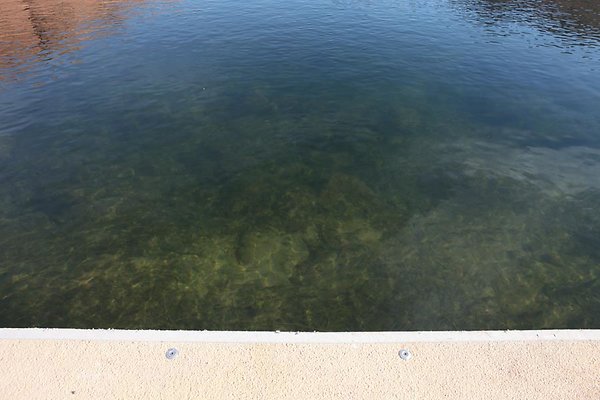 IMG 7878