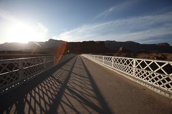 IMG 8246