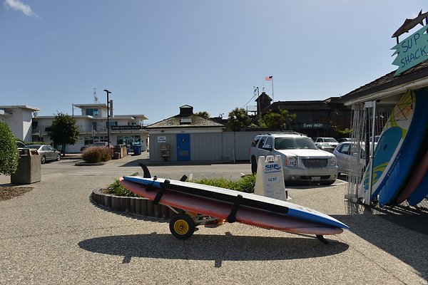 DSC 7668