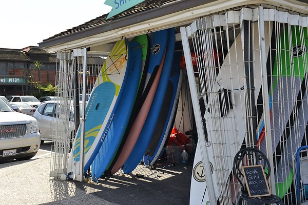 DSC 7665