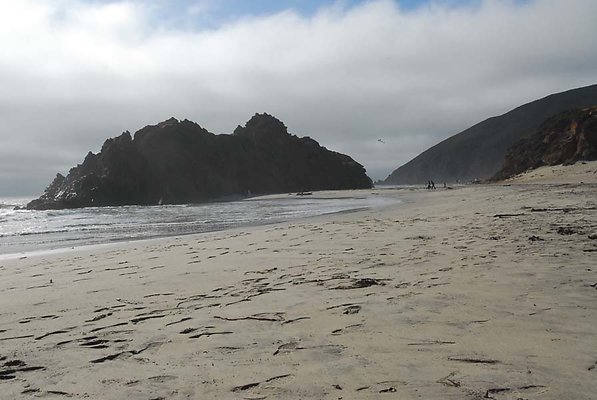 DSC 0525