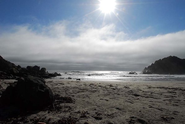 DSC 0520