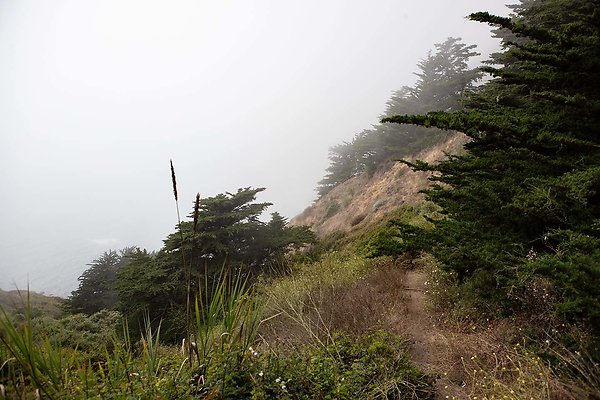 ragged point
