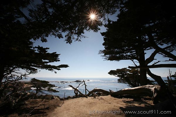 point lobos state reserve