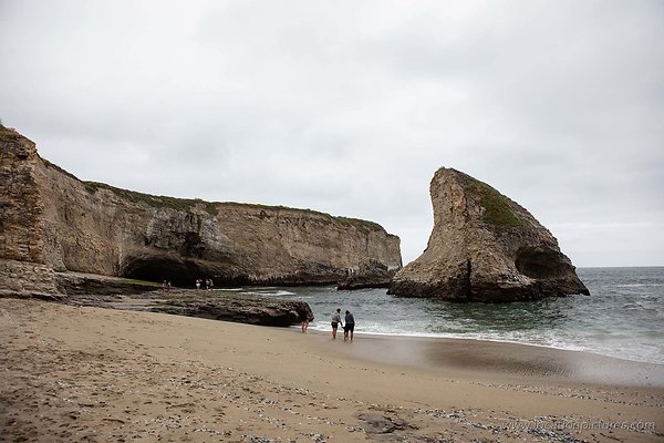 sharkfin cove