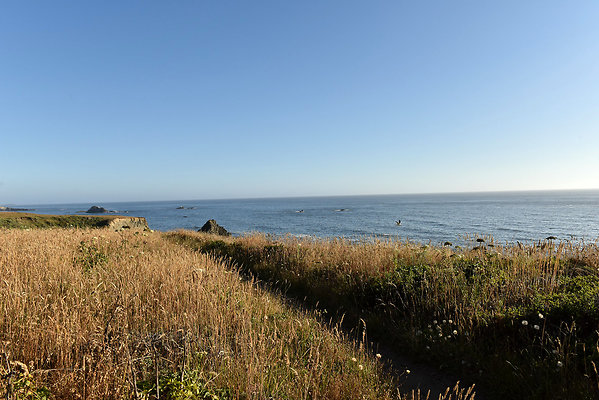 DSC 8901