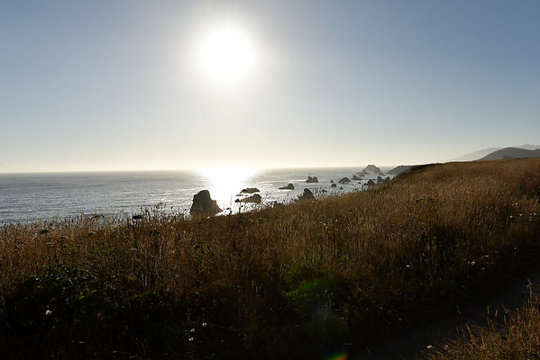 DSC 8900