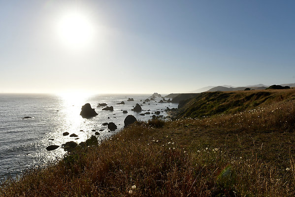 DSC 8907