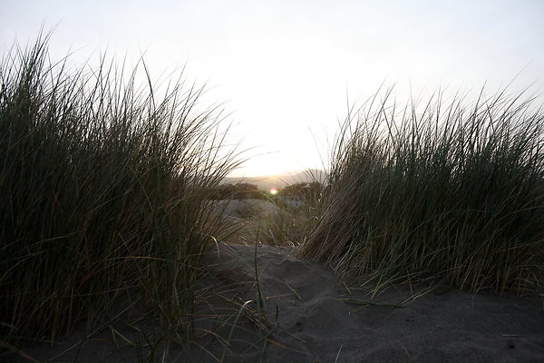 IMG 8958