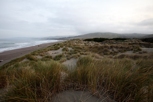 south salmon creek