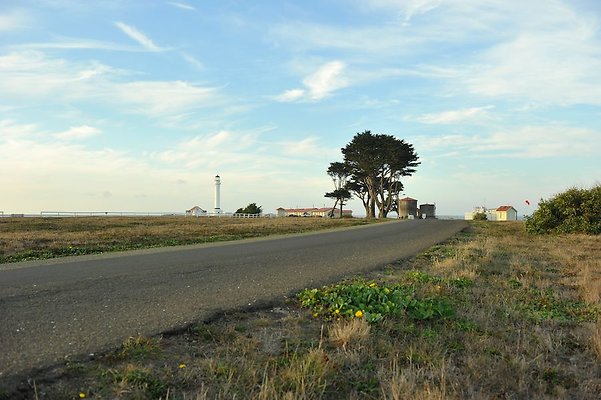  DSC7065