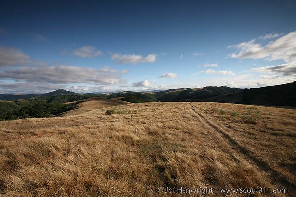 IMG 0063