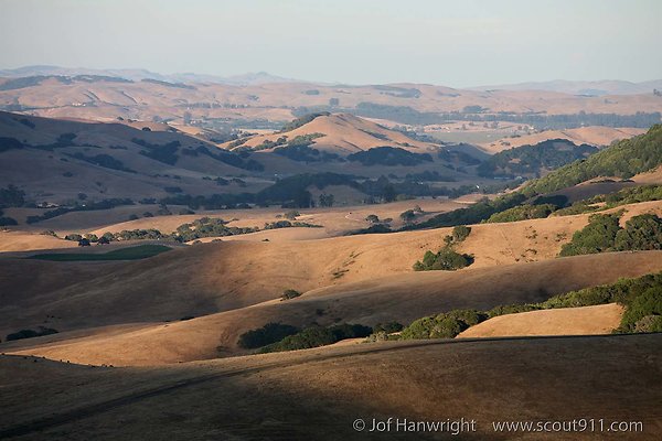 IMG 0277