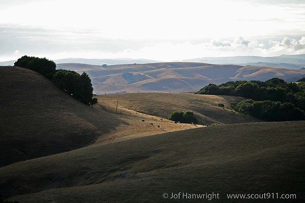 IMG 0127