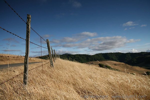 IMG 9958