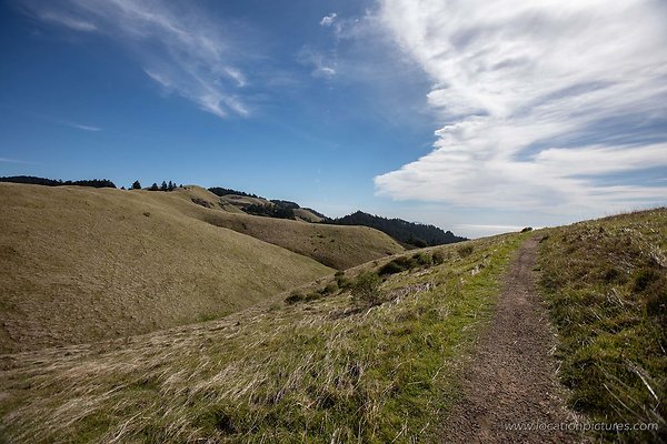 mt tamalpais trails