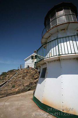 IMG 4650