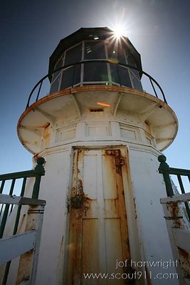 IMG 4713