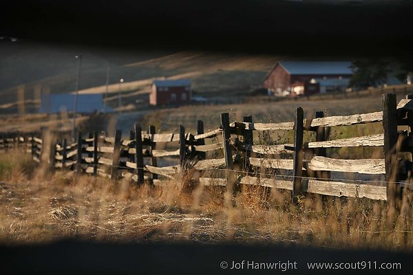 IMG 8987