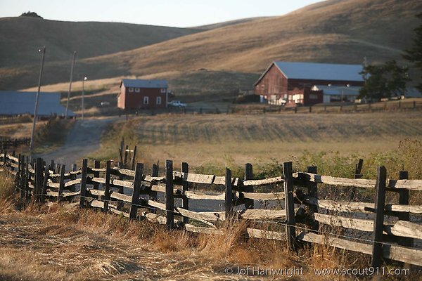 dolcini ranch