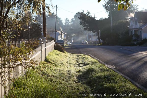 IMG 3894