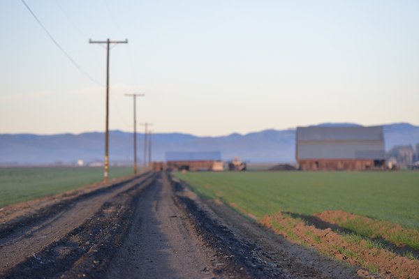 DSC 8003