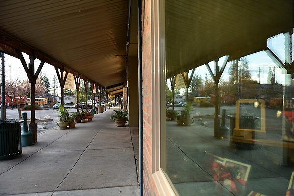 DSC 6955