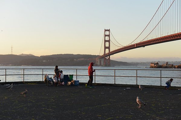 DSC 7054