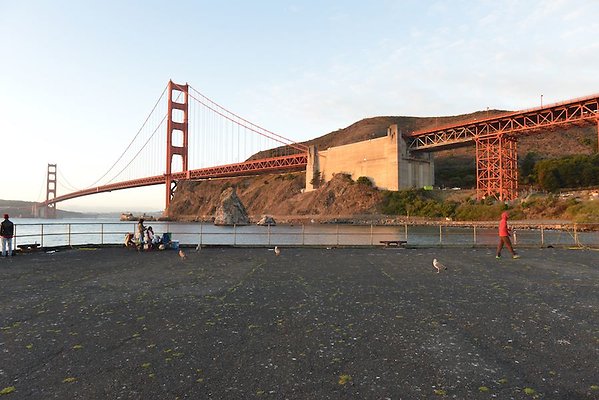 DSC 7063