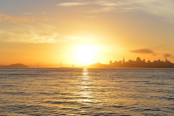 DSC 7074