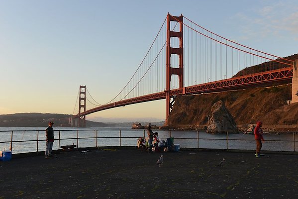 DSC 7058