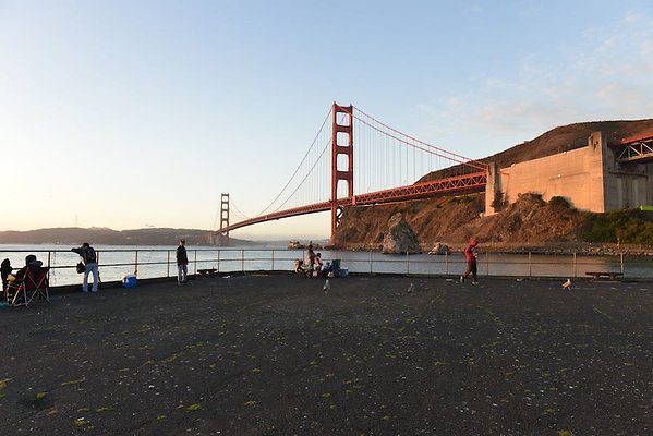 DSC 7059