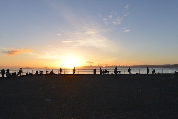 DSC 7048