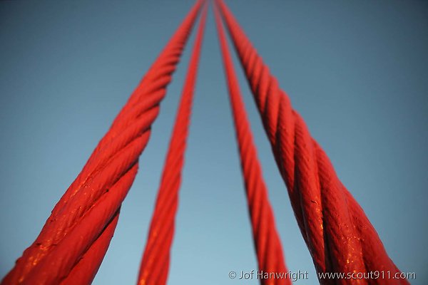IMG 9839