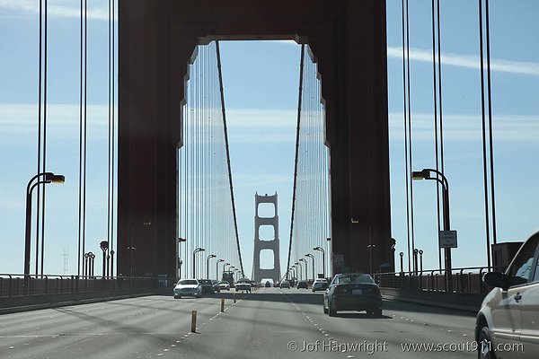IMG 9117