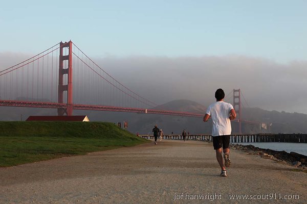 IMG 9278