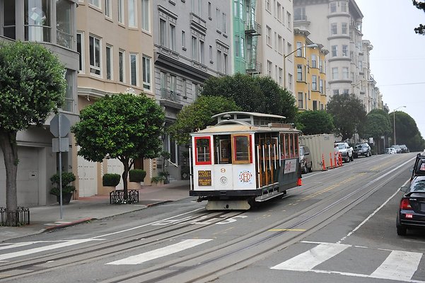 DSC 3295