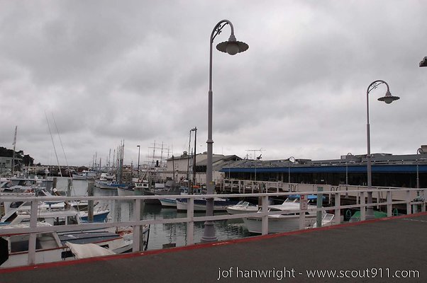 DSC 8241