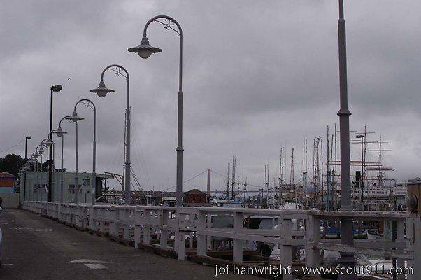 DSC 8389