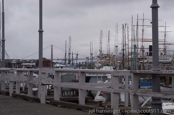 DSC 8395