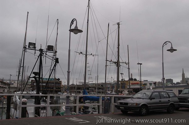 DSC 8284
