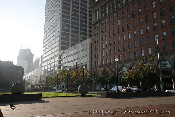 IMG 9918