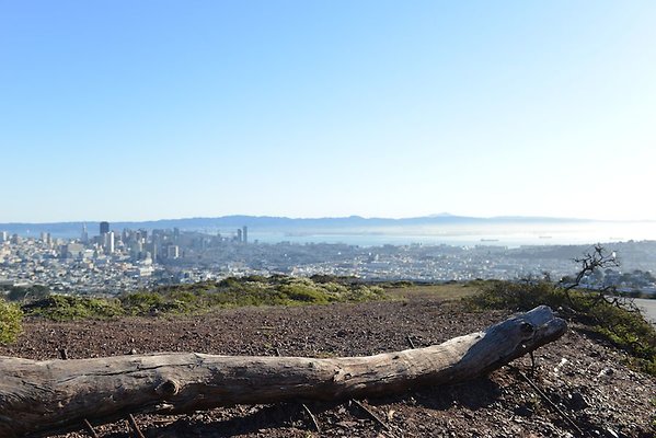 twin peaks