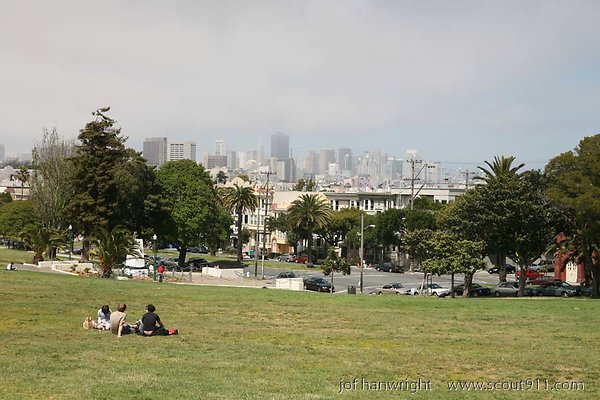 IMG 1205