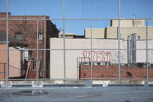 IMG 2304