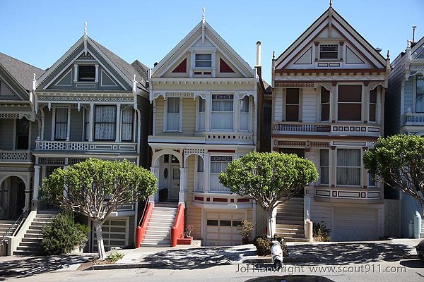 steiner victorians