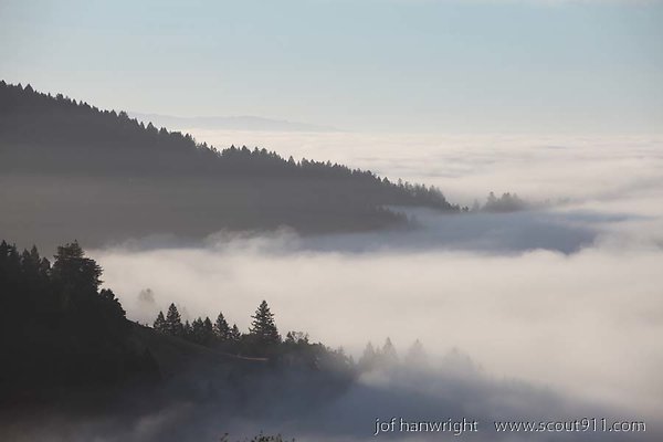 IMG 0223